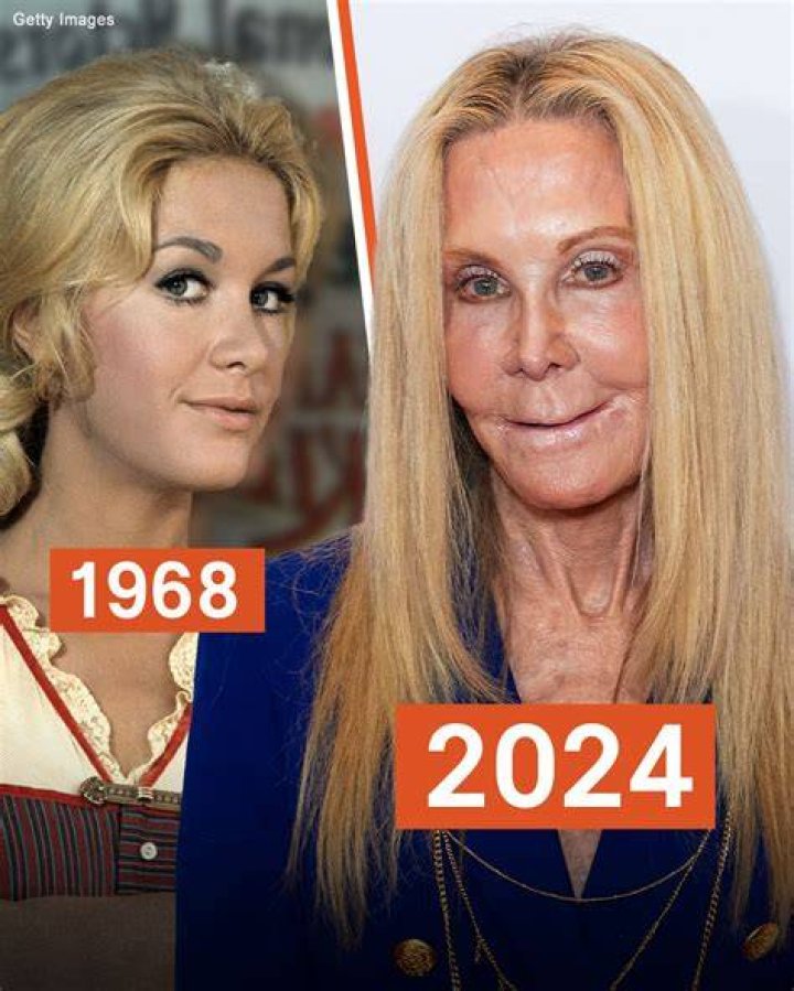 Joan Van Ark: A Journey Through Stardom