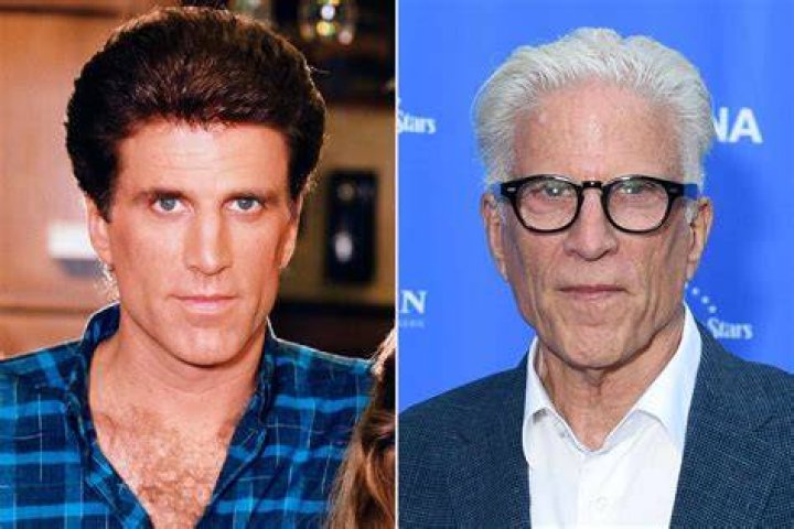Ted Danson: From Cheers to a New Era in Television