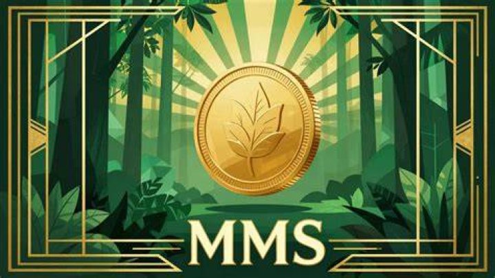 The Ultimate Guide to Insta MMS: Everything You Need to Know
