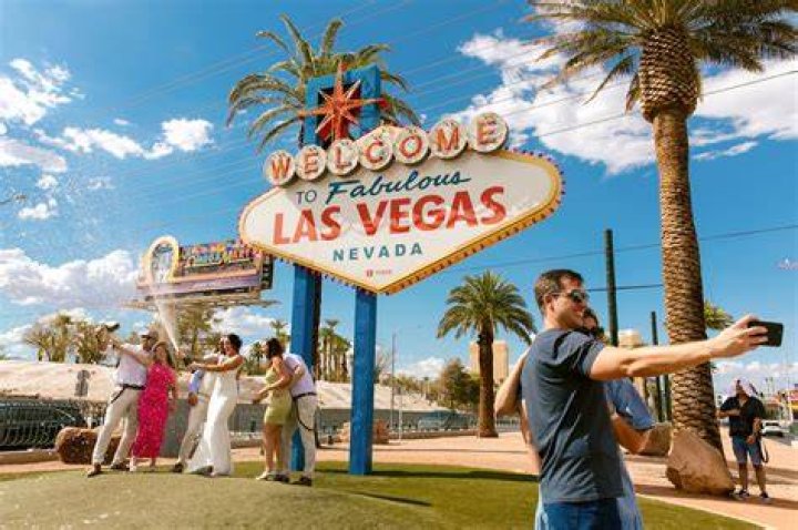 Unraveling the Excitement of Vegas NZ