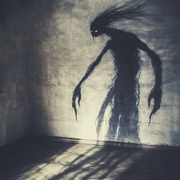 Unveiling the Mystery of the Scary Figure Shadow
