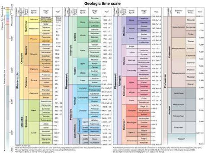 Which Period on the Geological Time Scale Did Insects Appear? A Comprehensive Exploration