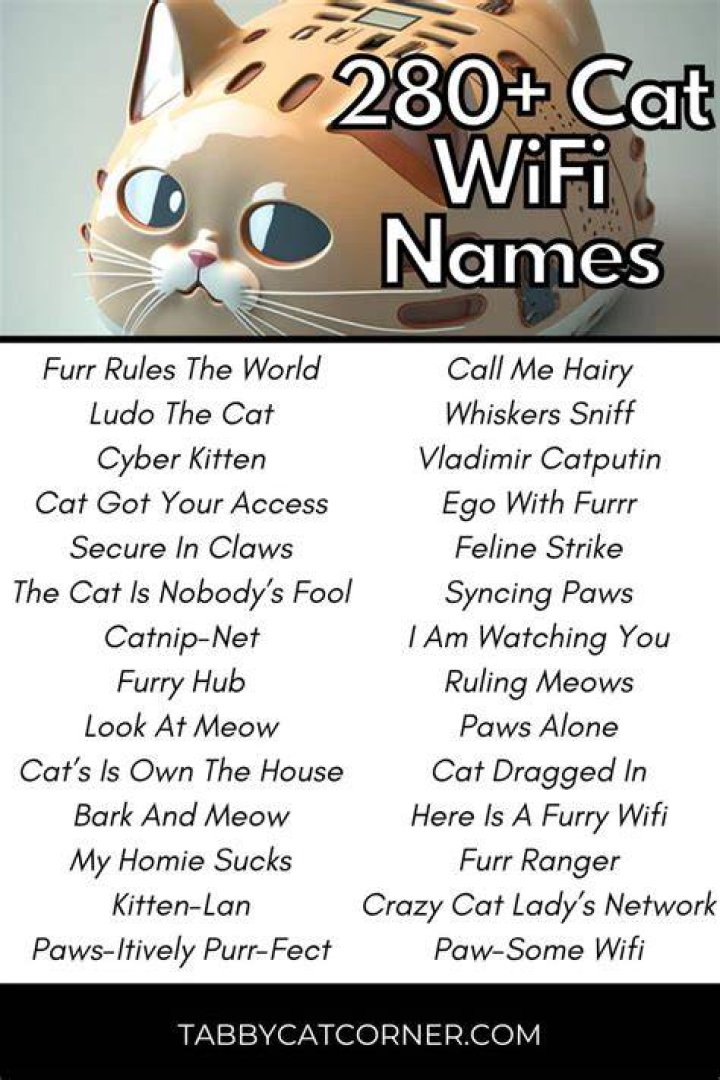 Whiskers and Waves: Purrfect Cat WiFi Names