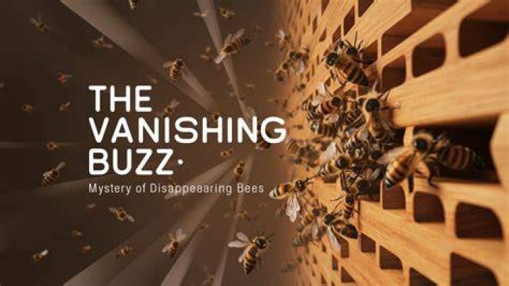 Xnxnxnxnxnxn: Unraveling the Mystery Behind the Buzz